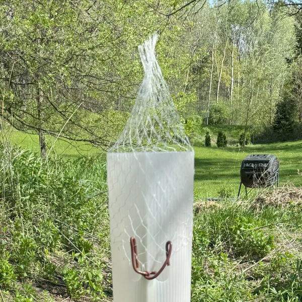 Bird Exclusion Mesh Top For Tree Tubes and Tree Shelters (50-Pack)