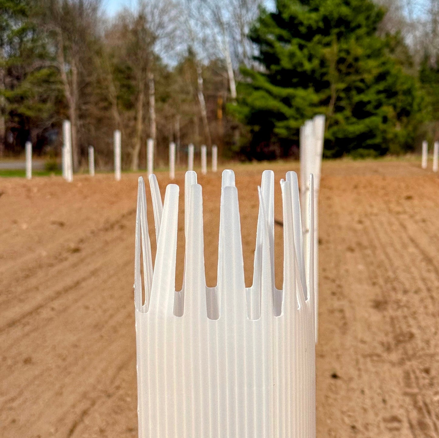 Tree Tubes + Stakes