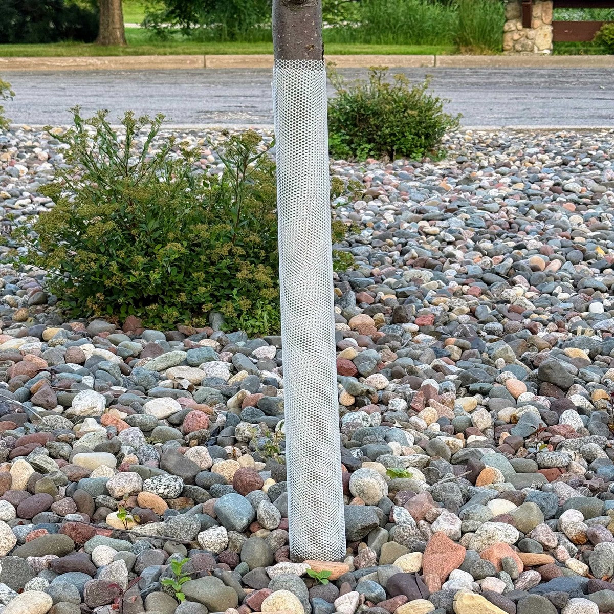 White Trunk Saver Screen Mesh Tree Guard - Sapling Protection (5-Pack)