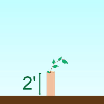 2' Tube Only