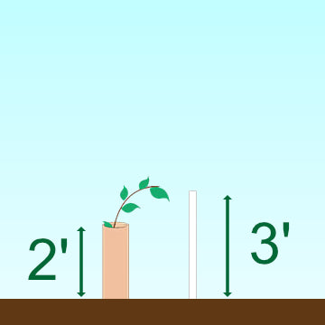 2' Tube / 3' Stake Combo